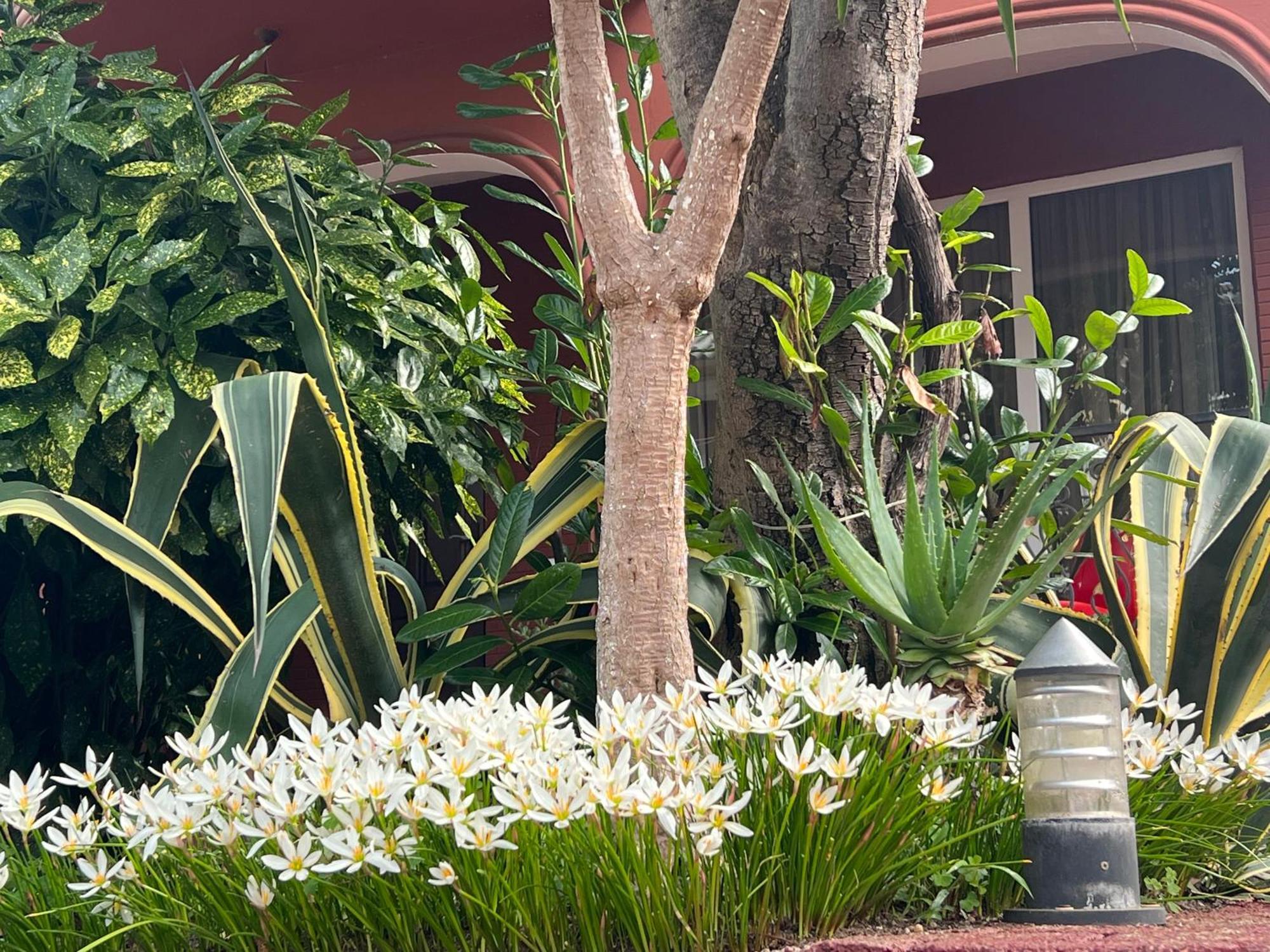 Gold Guest House Gonio Exterior foto